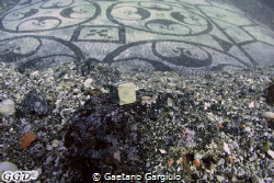 Mankind tirelessly is working to preserve it, however, on... by Gaetano Gargiulo 